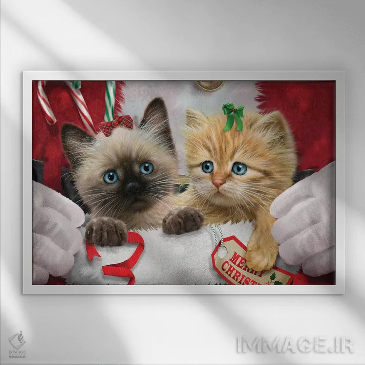 تابلو دکوراتیو شگفتانه سانتا اثر جوردانو استودیو - نمای قابدار سفید