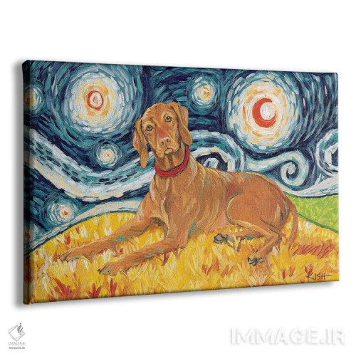 تابلو دکوراتیو ویزسلا در شب پرستاره اثر گرچن کیش سرانو - نمای پرسپکتیو محصول