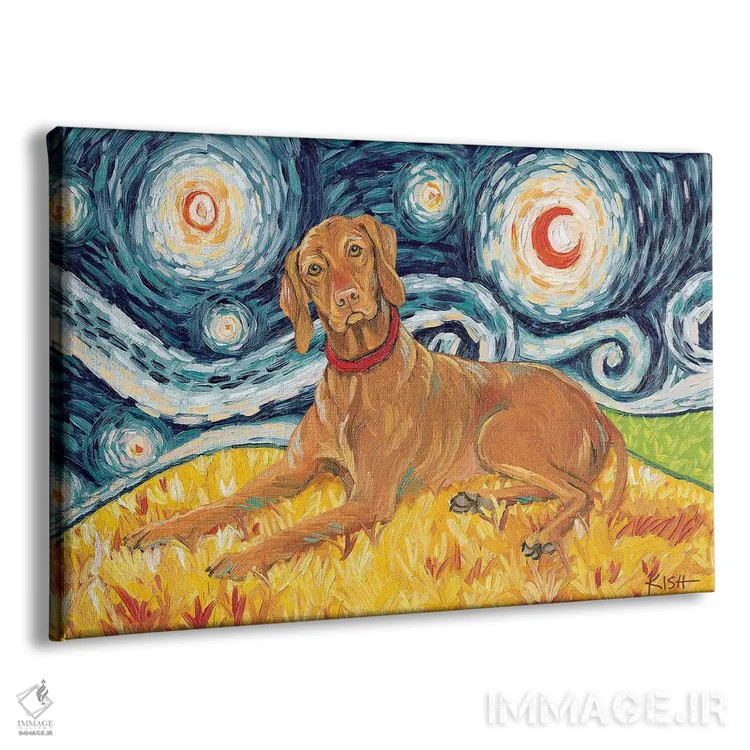 تابلو دکوراتیو ویزسلا در شب پرستاره اثر گرچن کیش سرانو - نمای پرسپکتیو محصول