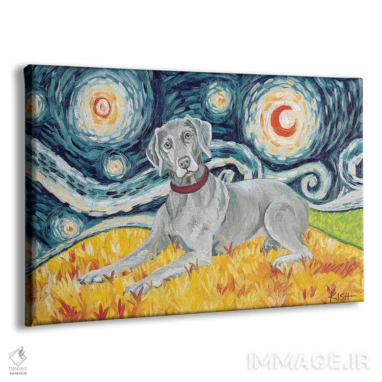 تابلو دکوراتیو ویمارانر در شب پرستاره اثر گرچن کیش سرانو - نمای پرسپکتیو محصول