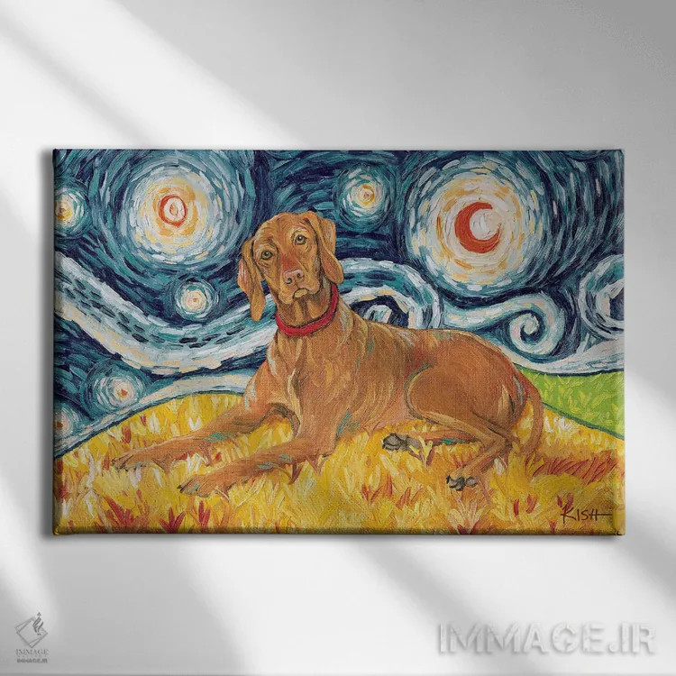 تابلو دکوراتیو ویزسلا در شب پرستاره اثر گرچن کیش سرانو - نمای روبهرو روی دیوار