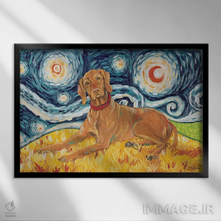 تابلو دکوراتیو ویزسلا در شب پرستاره اثر گرچن کیش سرانو - نمای قابدار مشکی