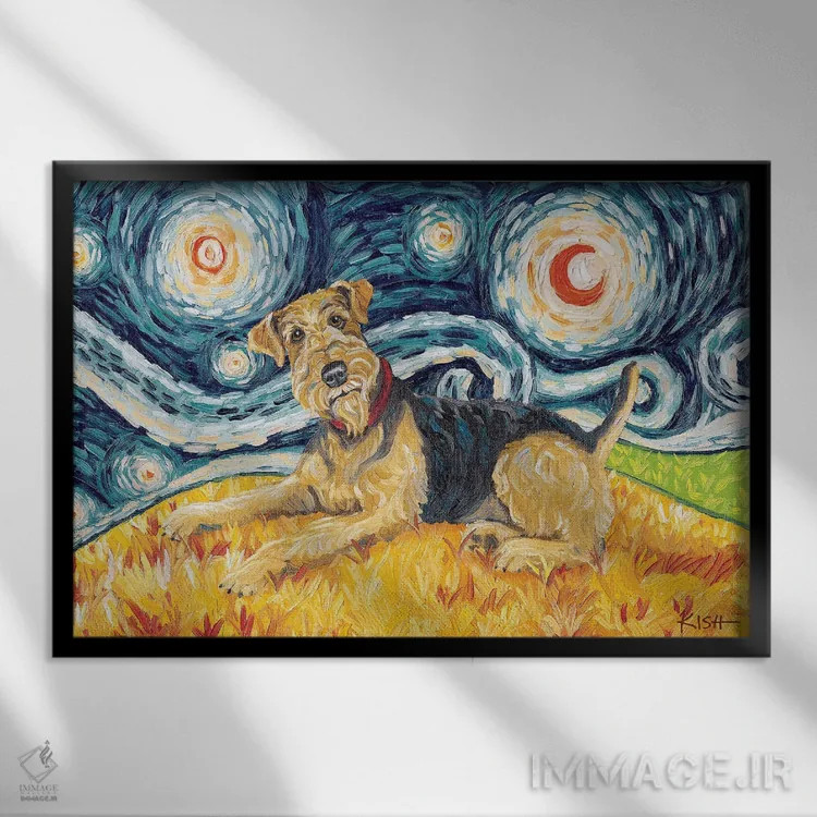 تابلو دکوراتیو تریر ایردل در یک شب پرستاره اثر گرچن کیش سرانو - نمای قابدار مشکی