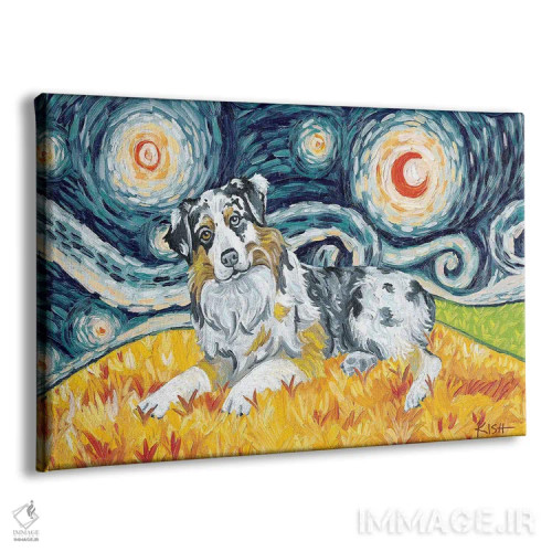 تابلو دکوراتیو شپرد استرالیایی در یک شب پرستاره اثر گرچن کیش سرانو - نمای پرسپکتیو محصول