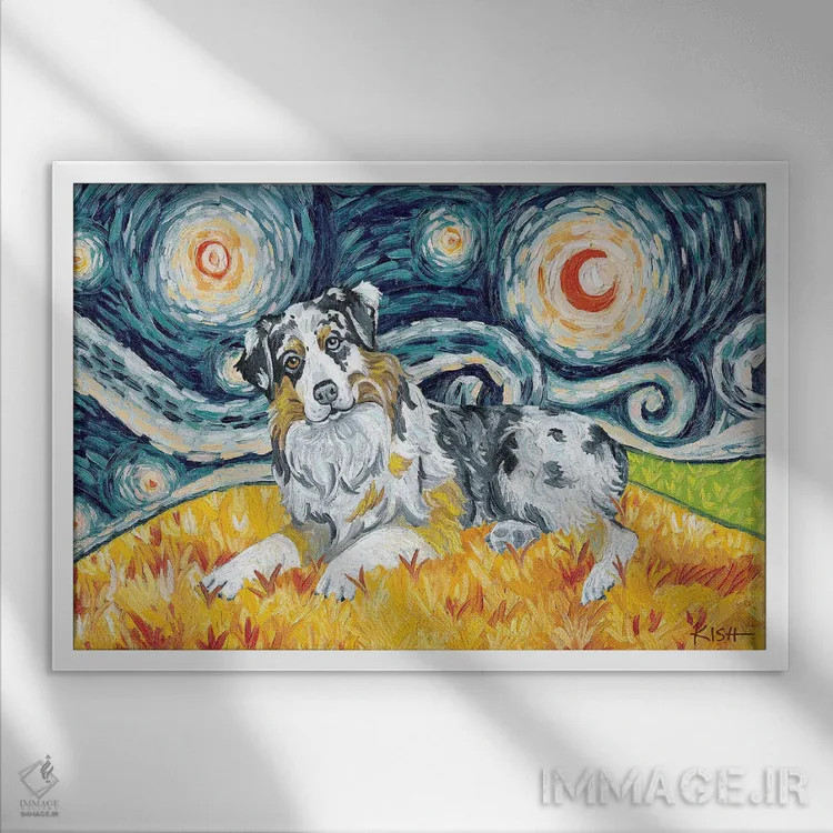 تابلو دکوراتیو شپرد استرالیایی در یک شب پرستاره اثر گرچن کیش سرانو - نمای قابدار سفید