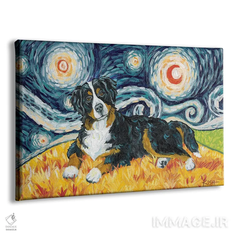 تابلو دکوراتیو سگ کوهستان برن در یک شب پرستاره اثر گرچن کیش سرانو - نمای پرسپکتیو محصول