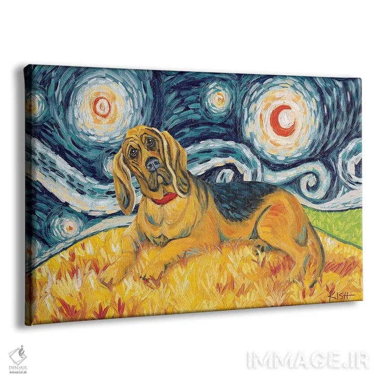 تابلو دکوراتیو بلادهاند در یک شب پرستاره اثر گرچن کیش سرانو - نمای پرسپکتیو محصول