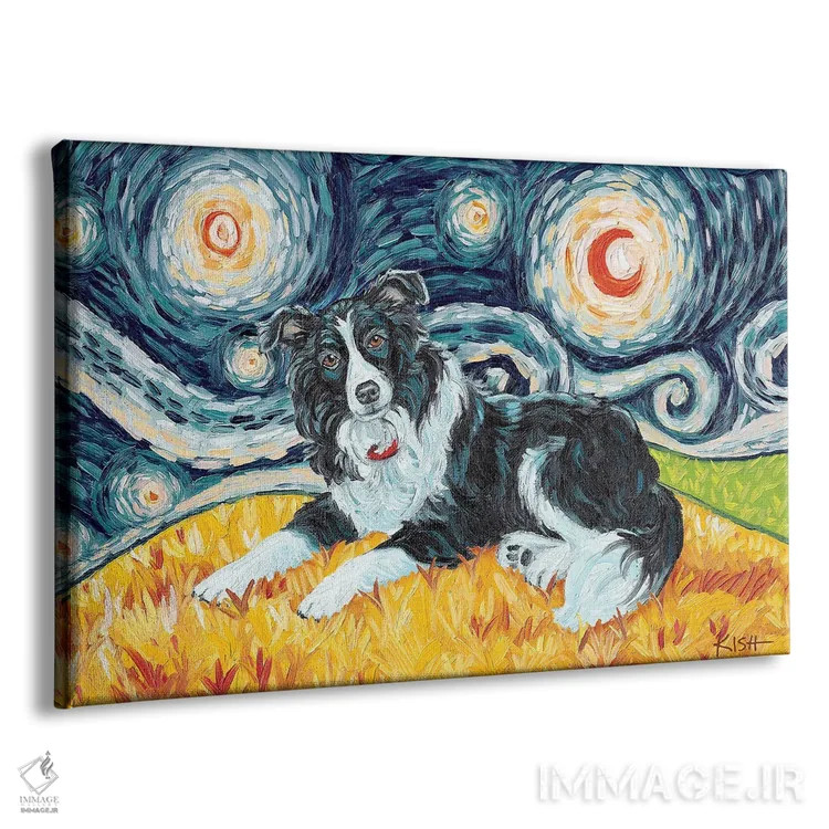 تابلو دکوراتیو بردر کولی در یک شب پرستاره اثر گرچن کیش سرانو - نمای پرسپکتیو محصول