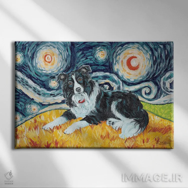 تابلو دکوراتیو بردر کولی در یک شب پرستاره اثر گرچن کیش سرانو - نمای روبهرو روی دیوار