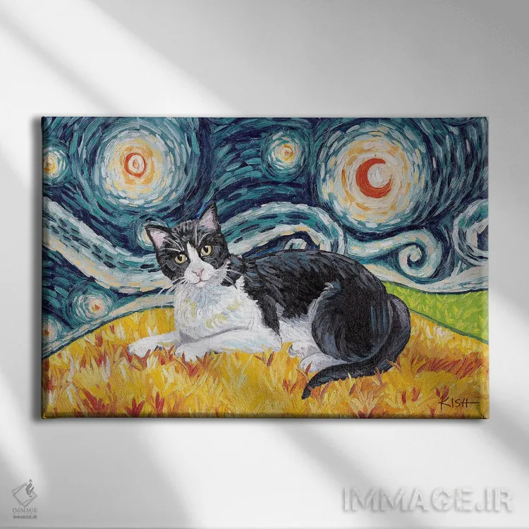 تابلو دکوراتیو گربه تاکسیدو در یک شب پرستاره اثر گرچن کیش سرانو - نمای روبهرو روی دیوار