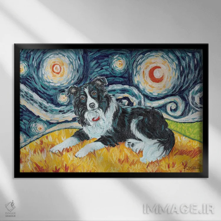 تابلو دکوراتیو بردر کولی در یک شب پرستاره اثر گرچن کیش سرانو - نمای قابدار مشکی