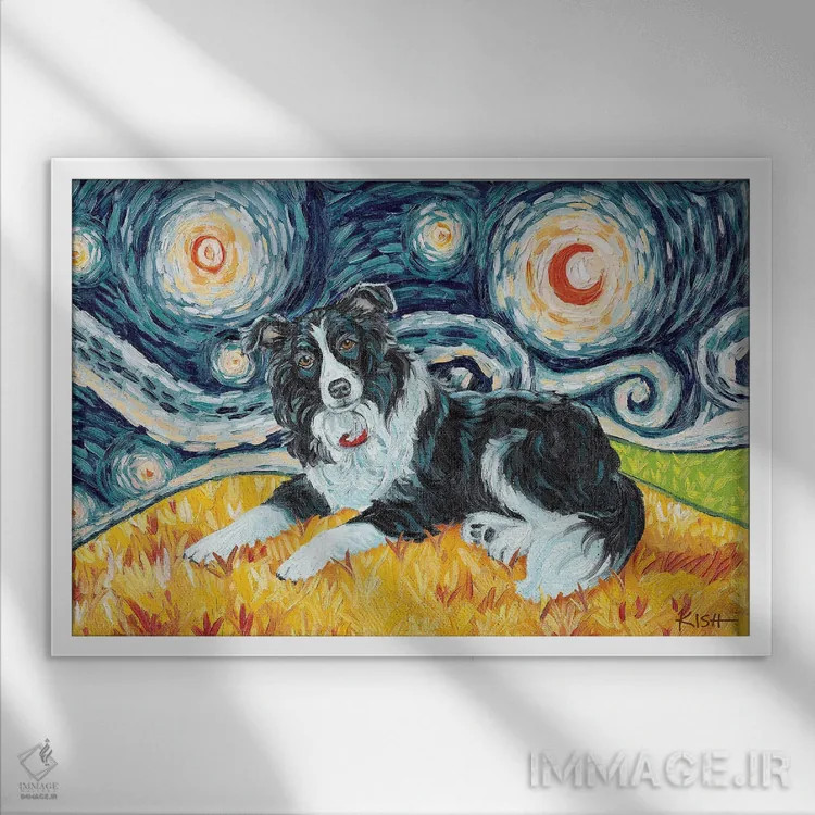 تابلو دکوراتیو بردر کولی در یک شب پرستاره اثر گرچن کیش سرانو - نمای قابدار سفید