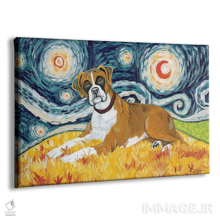 تابلو دکوراتیو باکسر در یک شب پرستاره اثر گرچن کیش سرانو - نمای پرسپکتیو محصول