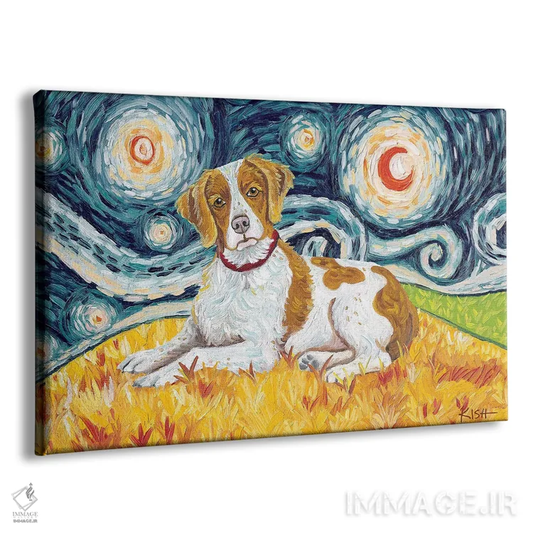 تابلو دکوراتیو بریتانی در یک شب پرستاره اثر گرچن کیش سرانو - نمای پرسپکتیو محصول