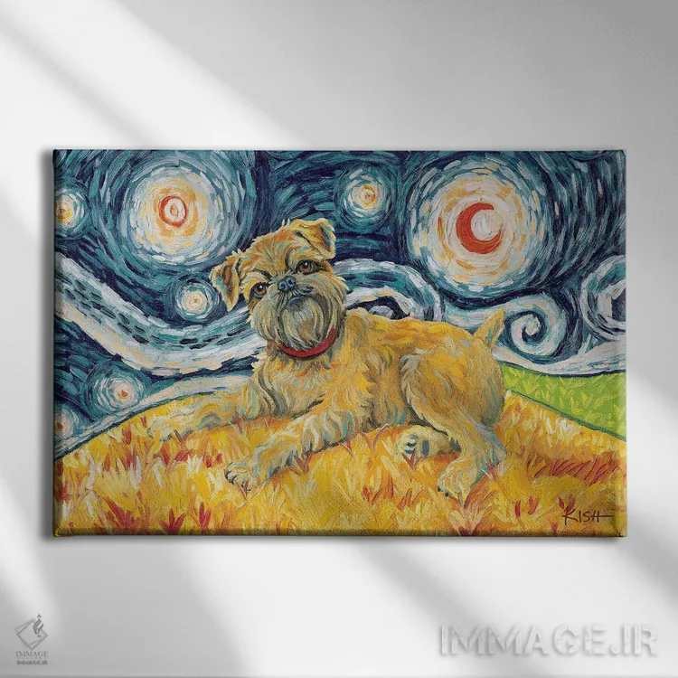 تابلو دکوراتیو گریفون بروکسل در یک شب پرستاره اثر گرچن کیش سرانو - نمای روبهرو روی دیوار