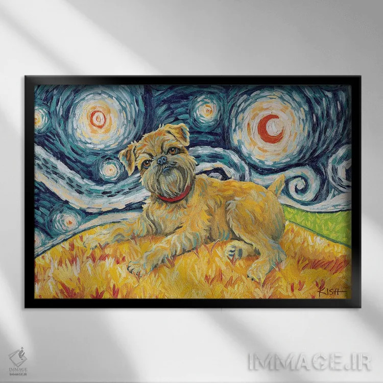 تابلو دکوراتیو گریفون بروکسل در یک شب پرستاره اثر گرچن کیش سرانو - نمای قابدار مشکی