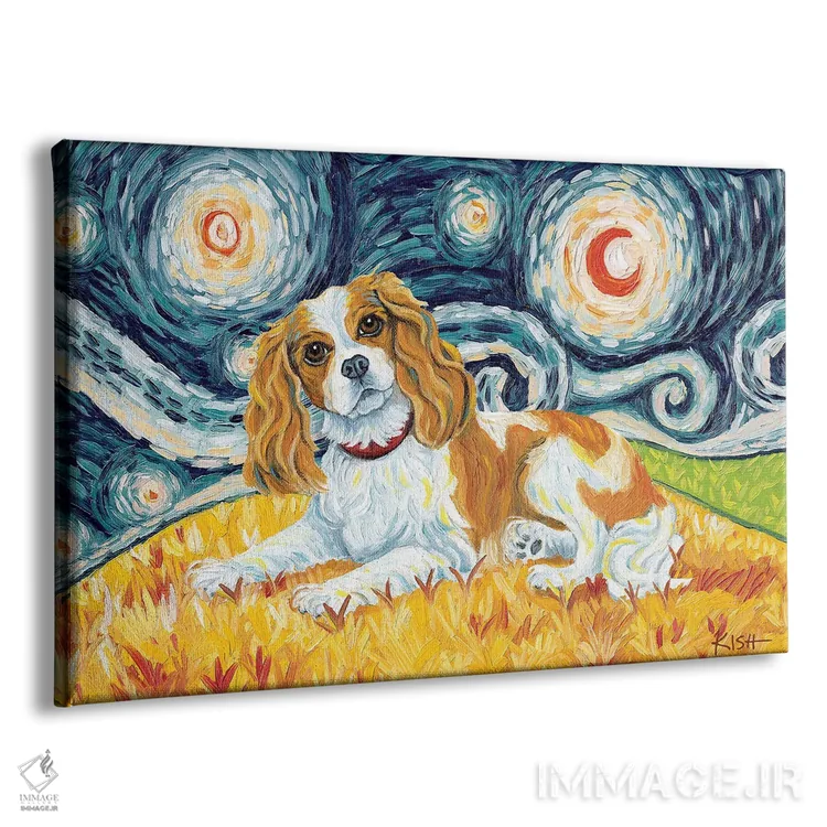 تابلو دکوراتیو کاوالیر کینگ چارلز در یک شب پرستاره اثر گرچن کیش سرانو - نمای پرسپکتیو محصول