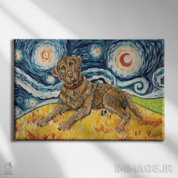تابلو دکوراتیو چساپیک بی رتریور در یک شب پرستاره اثر گرچن کیش سرانو - نمای روبهرو روی دیوار