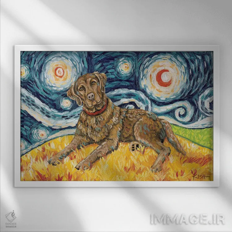 تابلو دکوراتیو چساپیک بی رتریور در یک شب پرستاره اثر گرچن کیش سرانو - نمای قابدار سفید