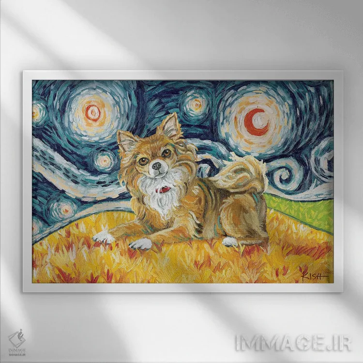 تابلو دکوراتیو چی واوا در یک شب پرستاره اثر گرچن کیش سرانو - نمای قابدار سفید