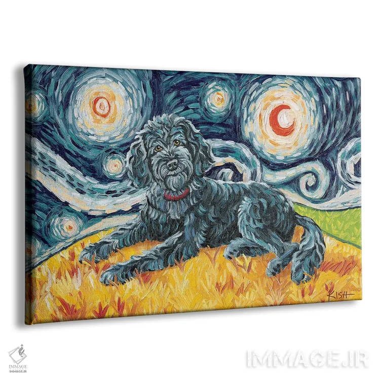 تابلو دکوراتیو دودل در یک شب پرستاره اثر گرچن کیش سرانو - نمای پرسپکتیو محصول