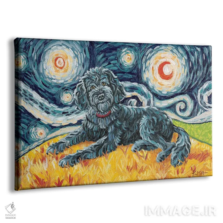تابلو دکوراتیو دودل در یک شب پرستاره اثر گرچن کیش سرانو - نمای پرسپکتیو محصول
