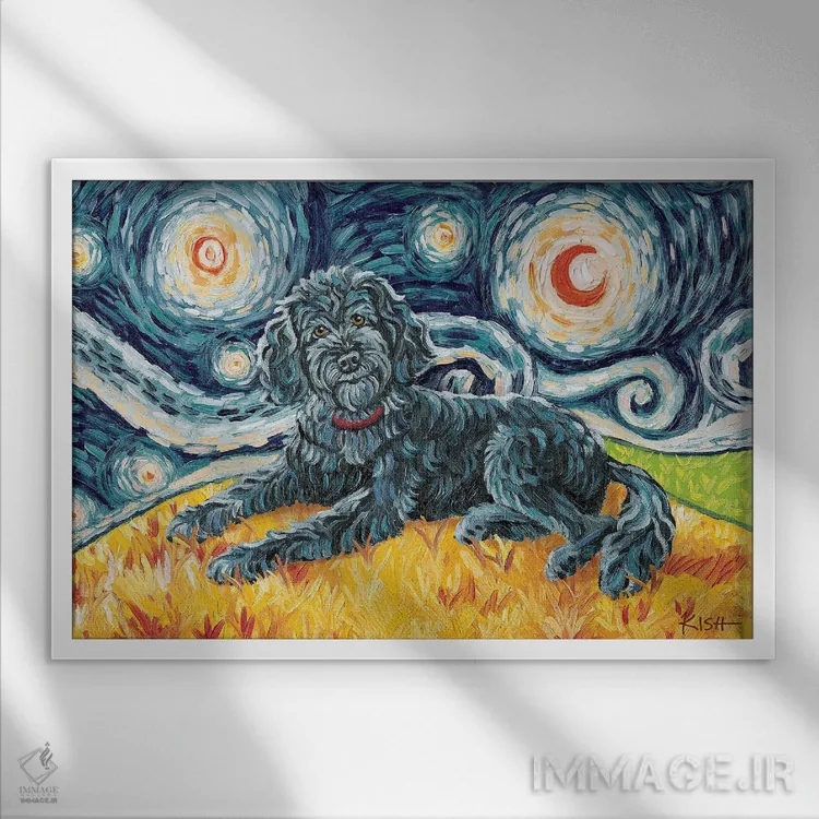 تابلو دکوراتیو دودل در یک شب پرستاره اثر گرچن کیش سرانو - نمای قابدار سفید