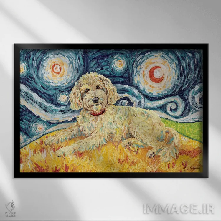 تابلو دکوراتیو دودل در یک شب پرستاره اثر گرچن کیش سرانو - نمای قابدار مشکی