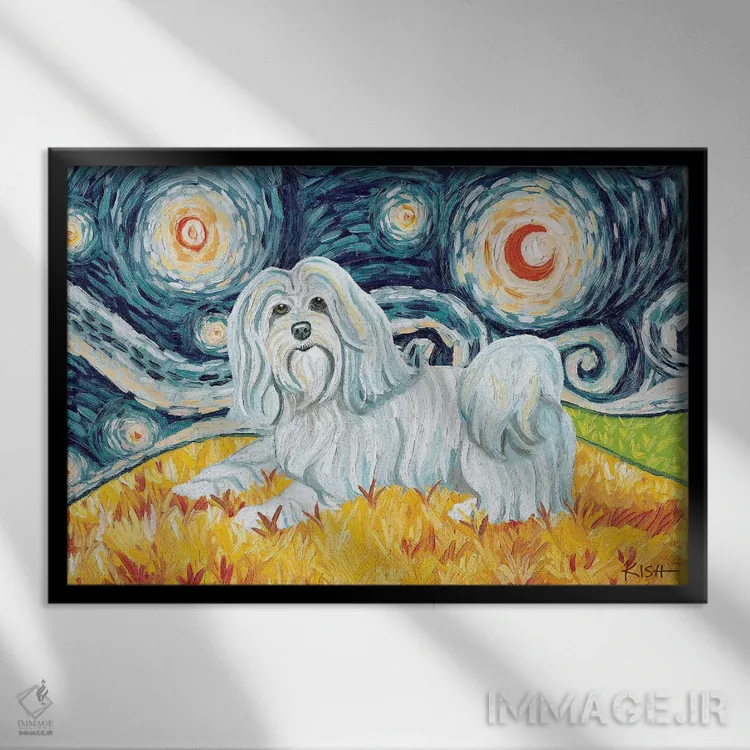 تابلو دکوراتیو هاوانیز در یک شب پرستاره اثر گرچن کیش سرانو - نمای قابدار مشکی