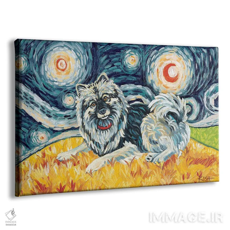 تابلو دکوراتیو کیشاند در یک شب پرستاره اثر گرچن کیش سرانو - نمای پرسپکتیو محصول