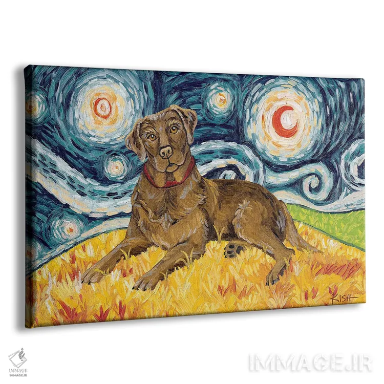تابلو دکوراتیو لبرادور شکلاتی در یک شب پرستاره اثر گرچن کیش سرانو - نمای پرسپکتیو محصول