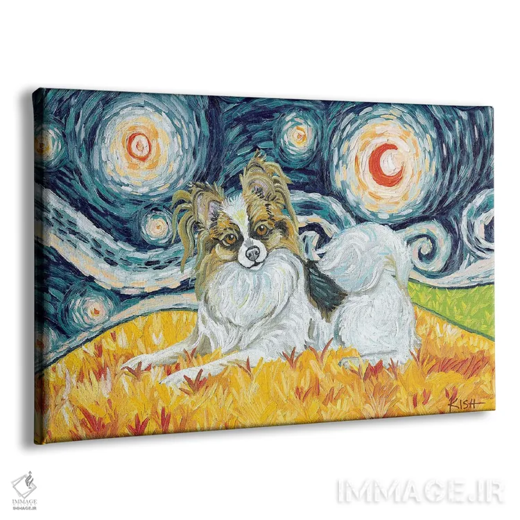 تابلو دکوراتیو پاپیون در یک شب پرستاره اثر گرچن کیش سرانو - نمای پرسپکتیو محصول