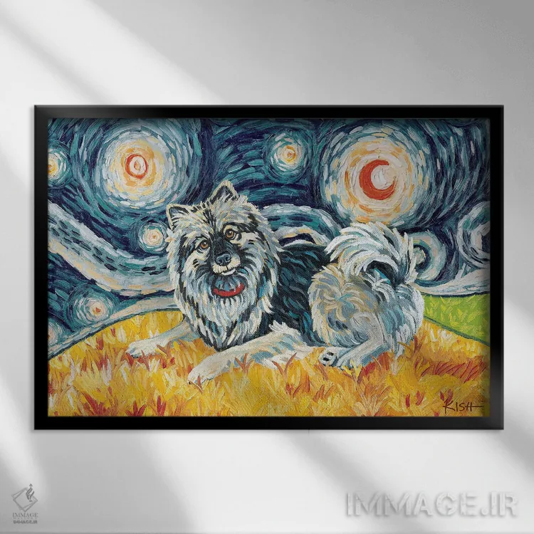 تابلو دکوراتیو کیشاند در یک شب پرستاره اثر گرچن کیش سرانو - نمای قابدار مشکی
