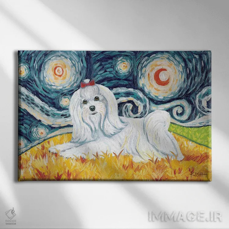 تابلو دکوراتیو مالتیز در یک شب پرستاره اثر گرچن کیش سرانو - نمای روبهرو روی دیوار