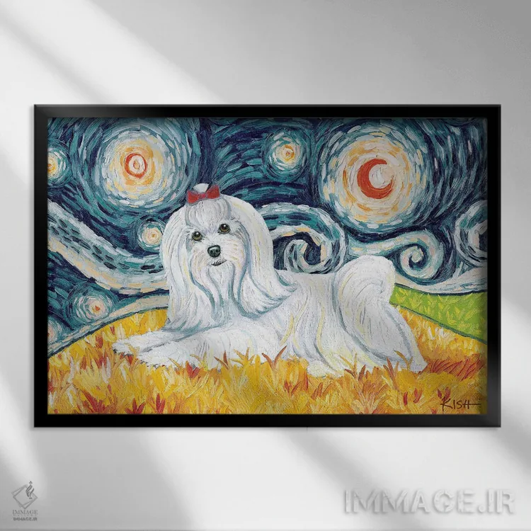 تابلو دکوراتیو مالتیز در یک شب پرستاره اثر گرچن کیش سرانو - نمای قابدار مشکی