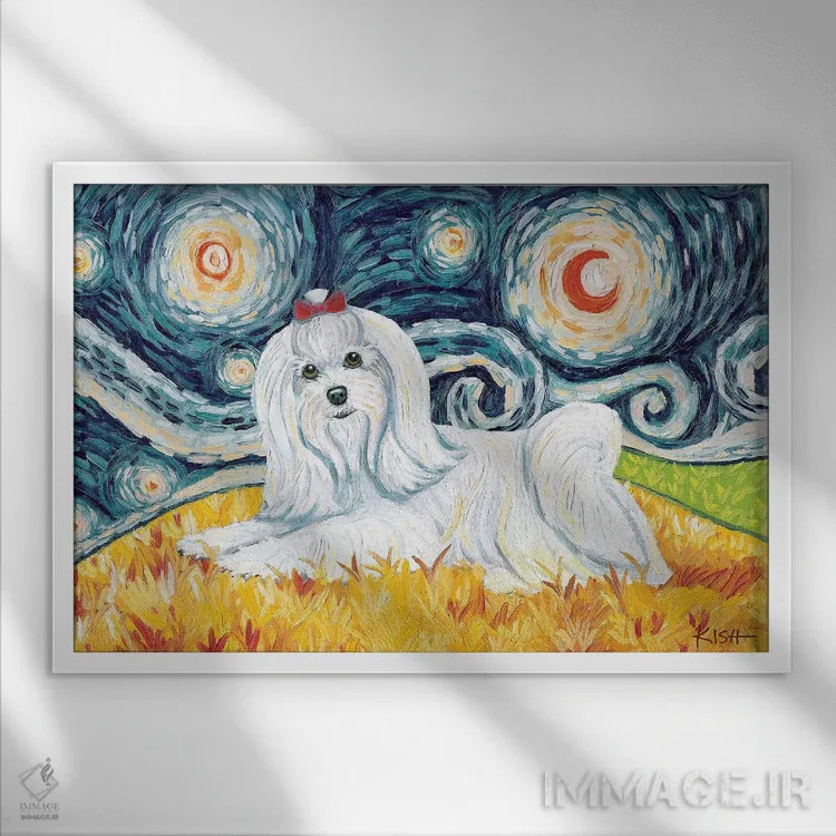 تابلو دکوراتیو مالتیز در یک شب پرستاره اثر گرچن کیش سرانو - نمای قابدار سفید