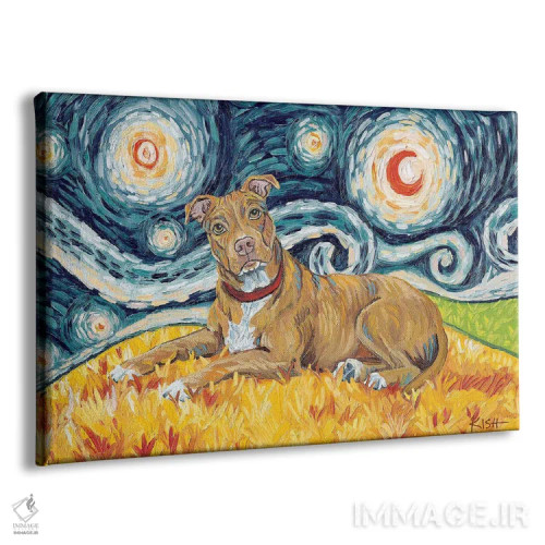 تابلو دکوراتیو پیت بول در یک شب پرستاره اثر گرچن کیش سرانو - نمای پرسپکتیو محصول