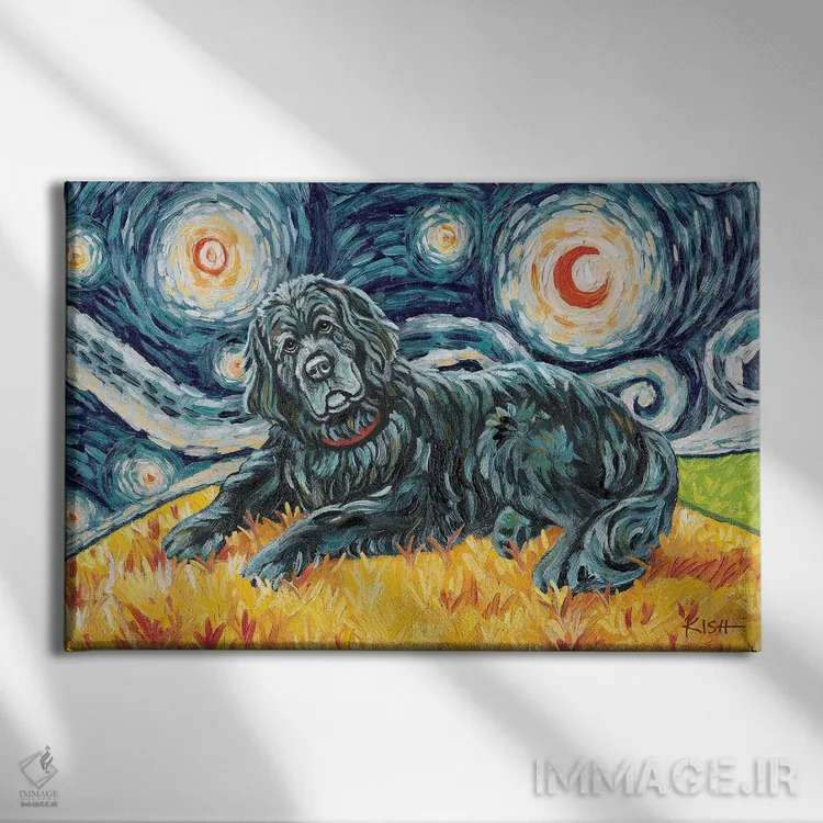 تابلو دکوراتیو نیوفاندلند در یک شب پرستاره اثر گرچن کیش سرانو - نمای روبهرو روی دیوار