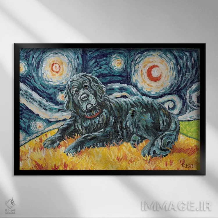 تابلو دکوراتیو نیوفاندلند در یک شب پرستاره اثر گرچن کیش سرانو - نمای قابدار مشکی