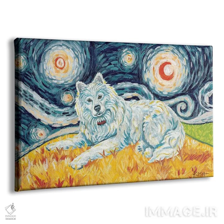 تابلو دکوراتیو ساموید در یک شب پرستاره اثر گرچن کیش سرانو - نمای پرسپکتیو محصول