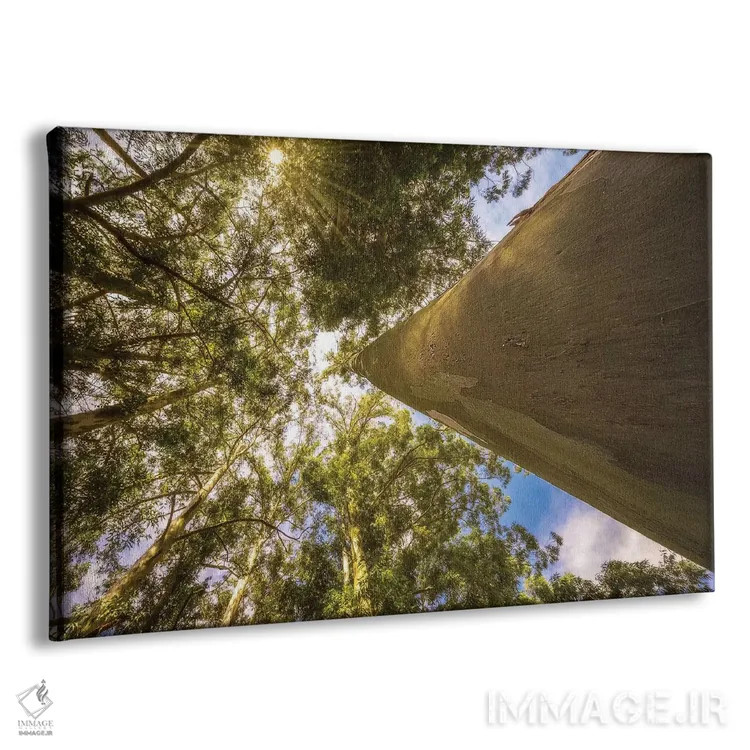تابلو دکوراتیو درخت بزرگ اثر گلاوکو منهالی - نمای پرسپکتیو محصول