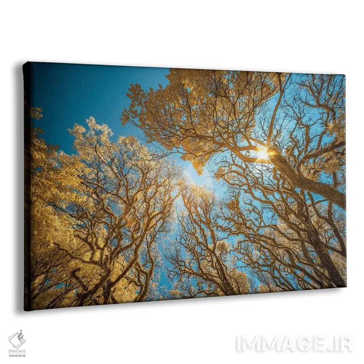 تابلو دکوراتیو نگاه به بالا اثر گلاوکو منهالی - نمای پرسپکتیو محصول