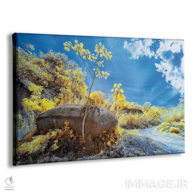 تابلو دکوراتیو طبیعت ۳ اثر گلاوکو منهالی - نمای پرسپکتیو محصول