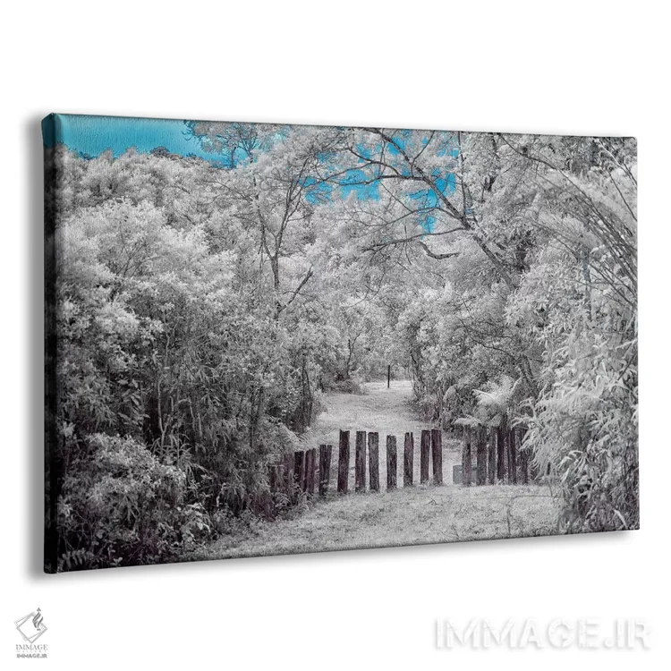 تابلو دکوراتیو طبیعت ۱ اثر گلاوکو منهالی - نمای پرسپکتیو محصول