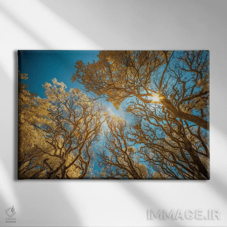 تابلو دکوراتیو نگاه به بالا اثر گلاوکو منهالی - نمای روبهرو روی دیوار