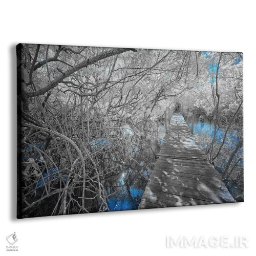 تابلو دکوراتیو پیاده رو چوبی اثر گلاوکو منهالی - نمای پرسپکتیو محصول