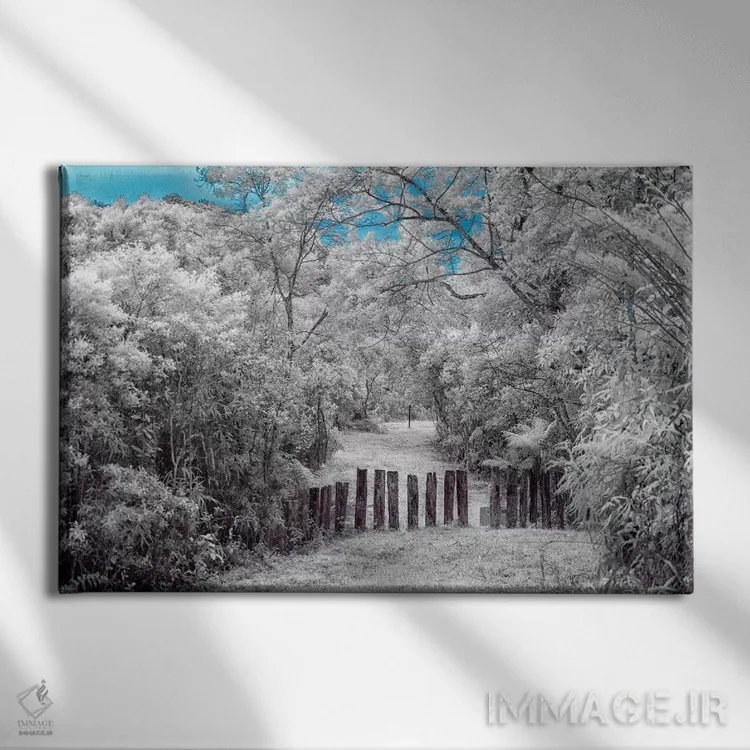 تابلو دکوراتیو طبیعت ۱ اثر گلاوکو منهالی - نمای روبهرو روی دیوار