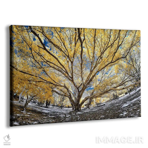 تابلو دکوراتیو درخت بزرگ اثر گلاوکو منهالی - نمای پرسپکتیو محصول