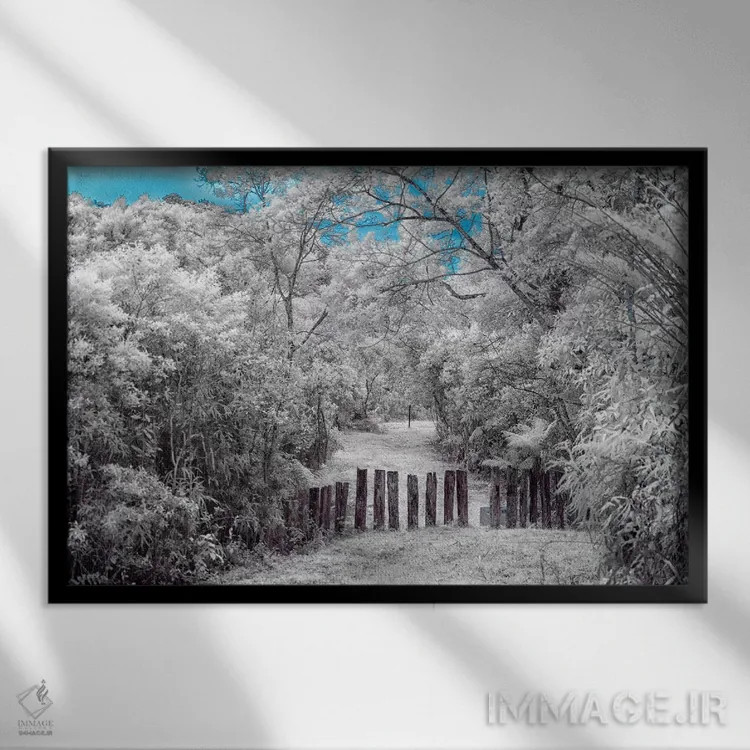 تابلو دکوراتیو طبیعت ۱ اثر گلاوکو منهالی - نمای قابدار مشکی