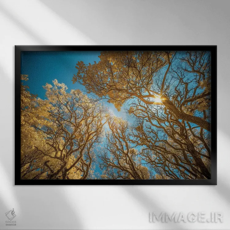 تابلو دکوراتیو نگاه به بالا اثر گلاوکو منهالی - نمای قابدار مشکی